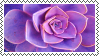 purple_succulent_stamp_by_galactic_fire-