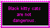 black kitty cats are not dangerous