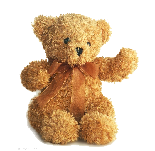 Teddy-Bear-PNG-Picture.png